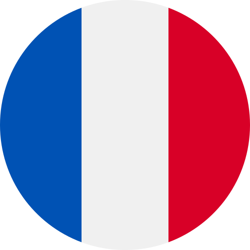 Bandiera della Francia