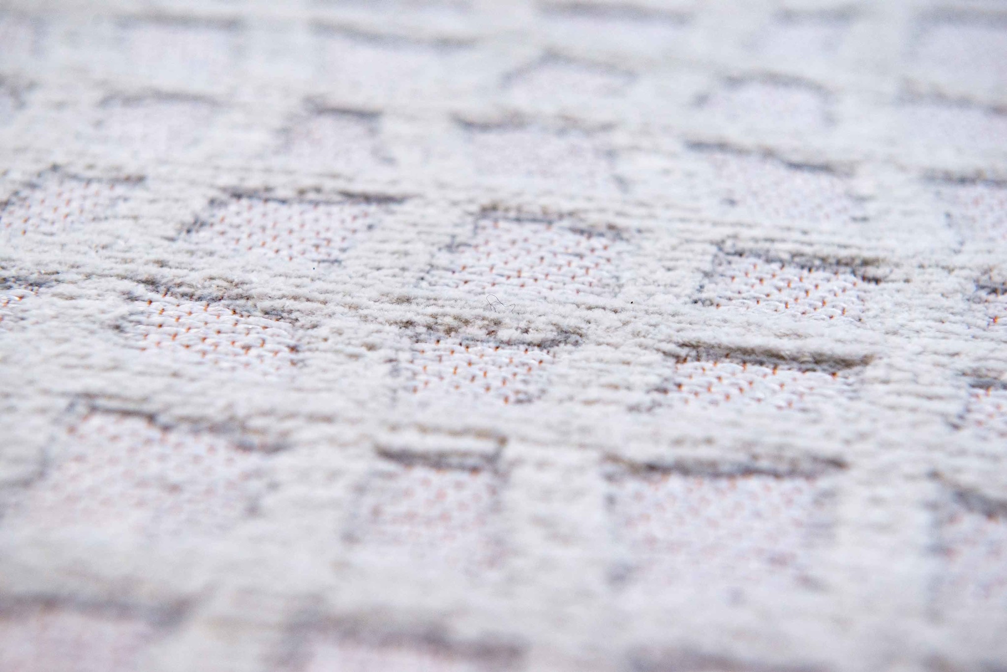 Tappeto Trammel Salice Bianco 9246 | Misura: 240 × 340 cm