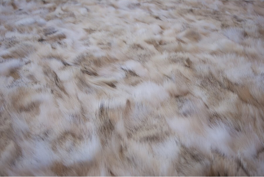 Tappeto Wolf 840 | Misura: 350 × 450 cm