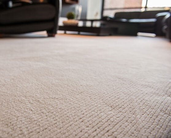 Moquette Super Hermes
