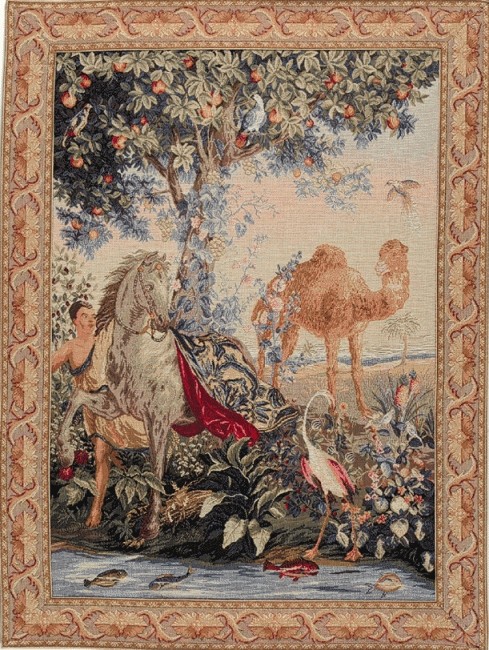 Arazzo Cavallo Drappeggiato | Misura: 50 × 67 cm